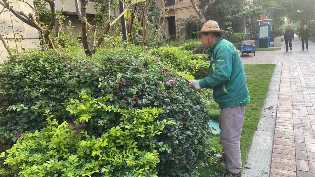 科瑞物业:"绿植达人"这样打造城市鲜氧环境→_植物_工作_绿地