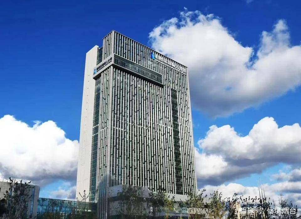 在全球化和信息化的大背景下,人力资源服务业作为连接人才与市场的