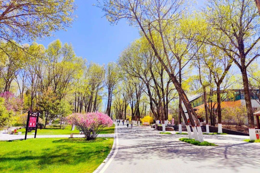 花草中遇见浪漫 山水间邂逅西宁_公园_高原_游人