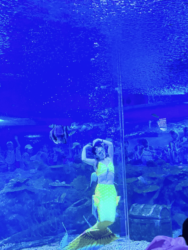 奇形怪状,各具特色的海洋生物,海母,石斑鱼,青龙鱼,蝴蝶鱼等,让孩子们