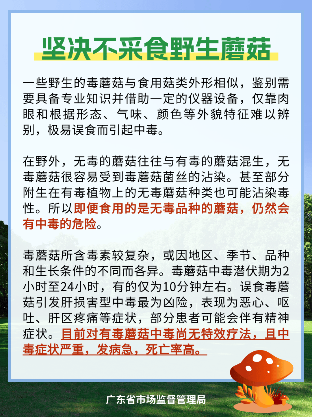 禁食野生蘑菇宣传图片图片