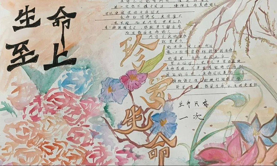 初中部七年级"珍爱生命"主题手抄报活动