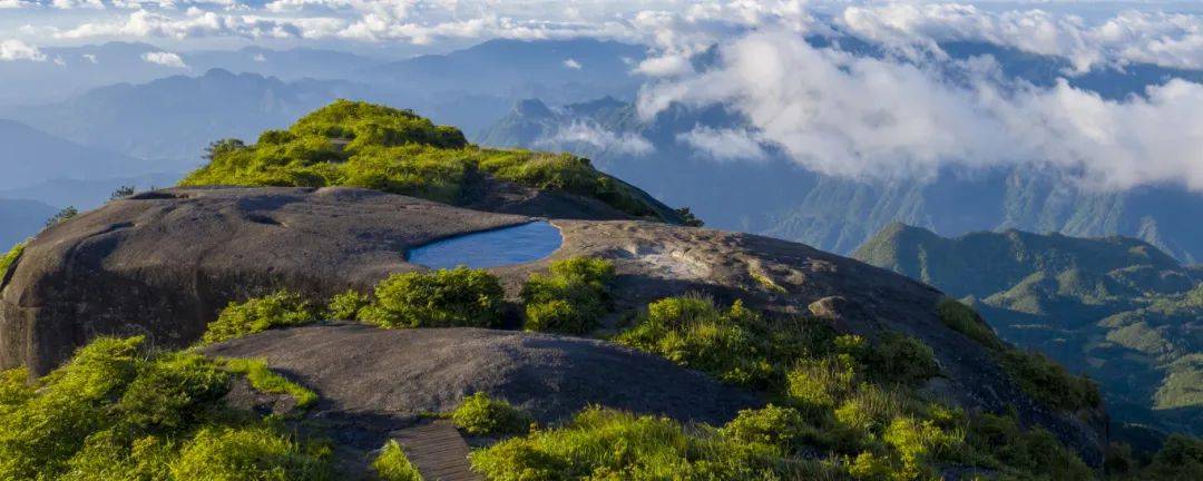 花海全面盛开,赶紧约起……_高山_海拔_索道