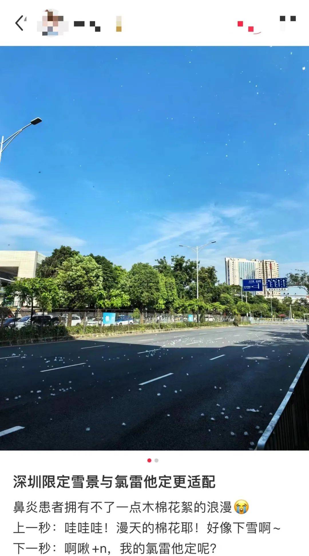 深圳下"雪"了?