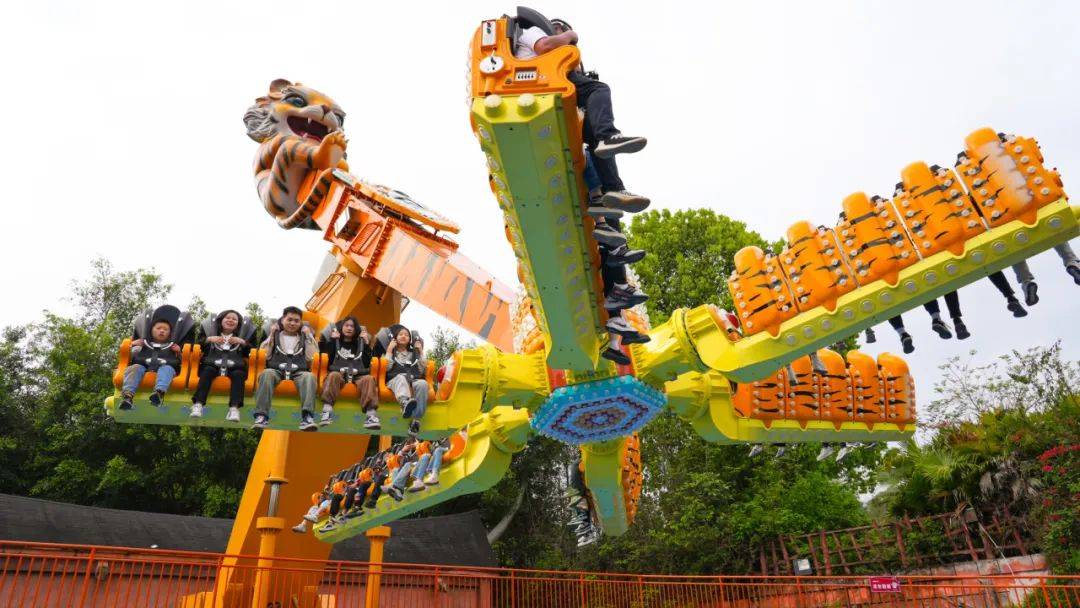 妈妈找回青春的热血体验速度与激情的碰撞碰碰车等游乐设施家庭过山车