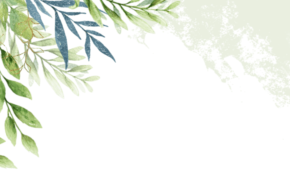 【高研值】探索物理奥秘,共研教学之道