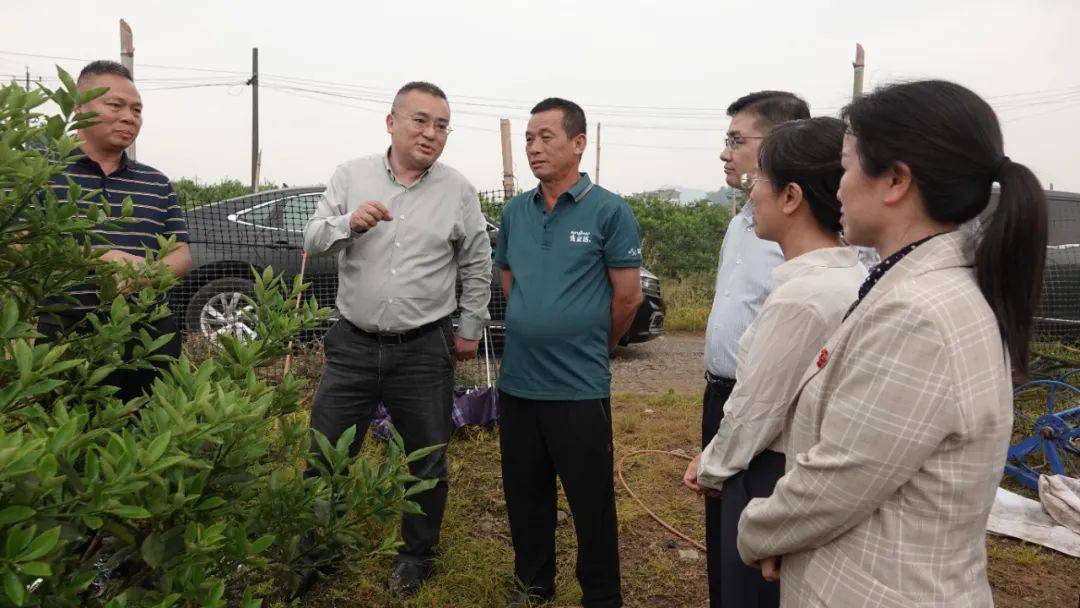 5月8日,县委书记周彦深入葡萄镇,杨堤乡,国家统计局阳朔调查队和福利