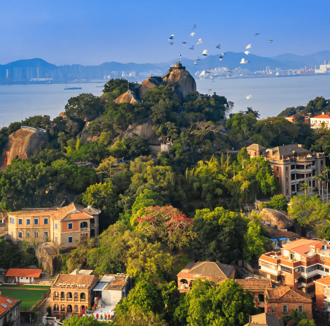 海口市党政代表团赴厦门学习考察收获颇丰:学习借鉴先进经验 拓宽思路