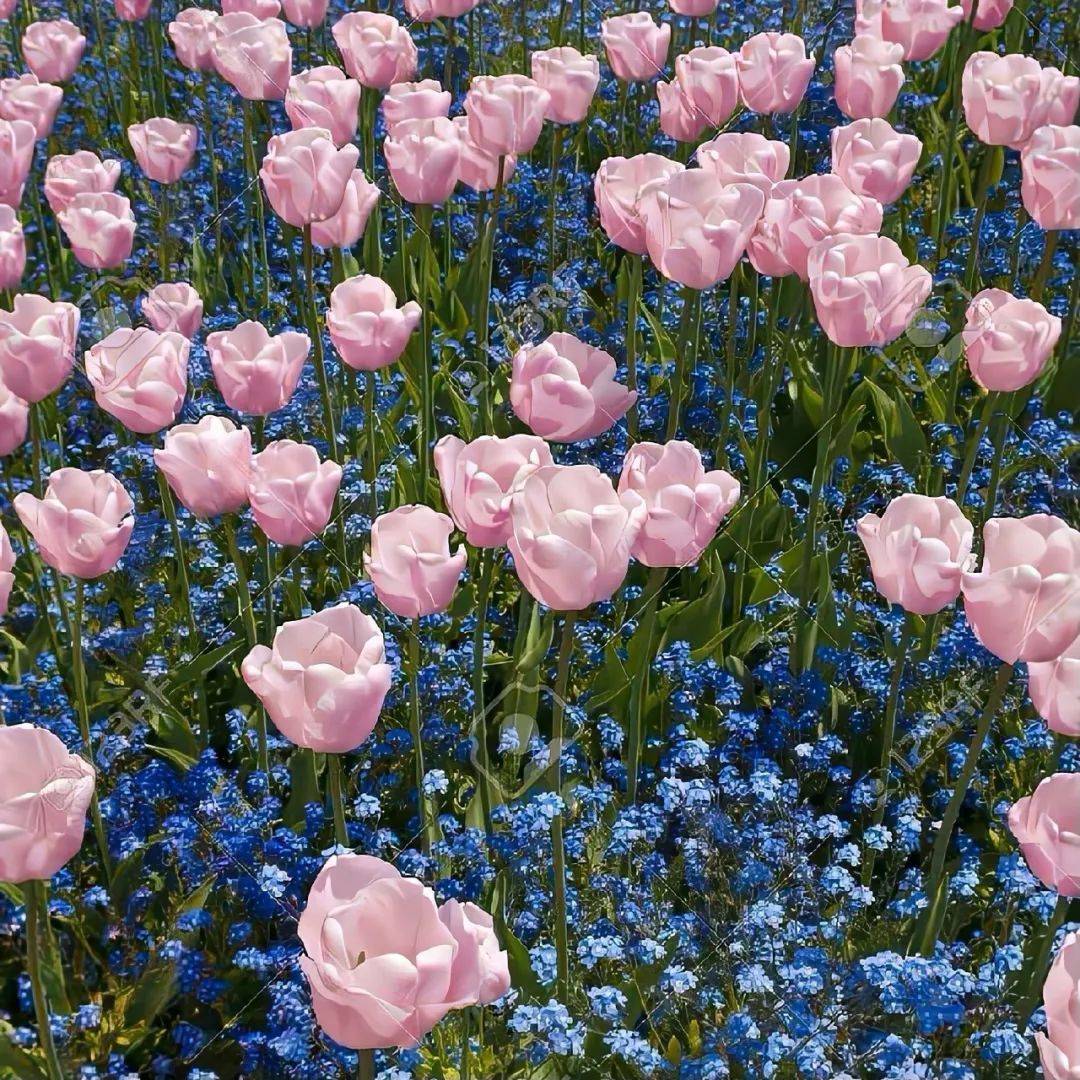 背景图 | wechat必须保存的背景图