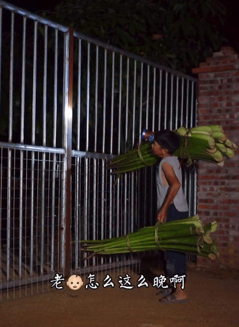 千万网红康仔农人翻车?刀砍莴苣被质太容易,网友:没干过农活吧