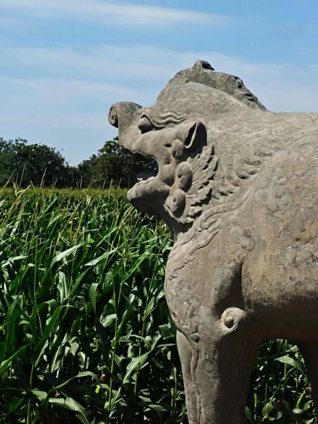 西侧守陵将军东侧 守陵将军上马石 团龙纹西侧走狮西侧文臣东侧神道之