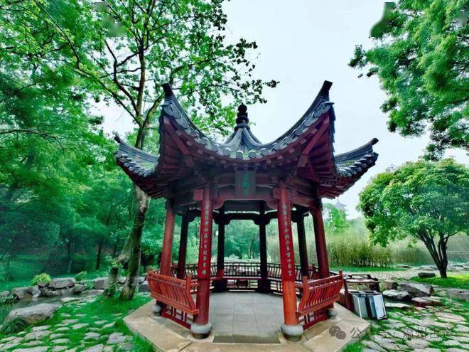 温州这片自古便承载着"第二十六福地"美誉的神奇秘