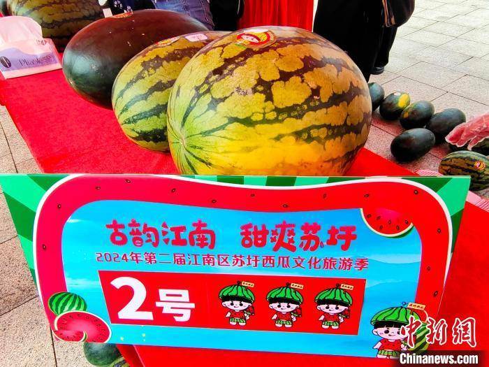 广西南宁:西瓜嘉年华活动乐趣多