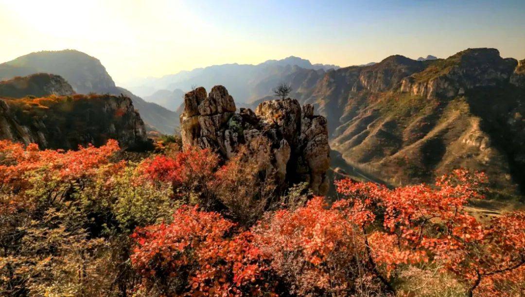 偷得浮生半日闲,还在山水林地间,七峪乡以最积极的姿态迎接各地旅游