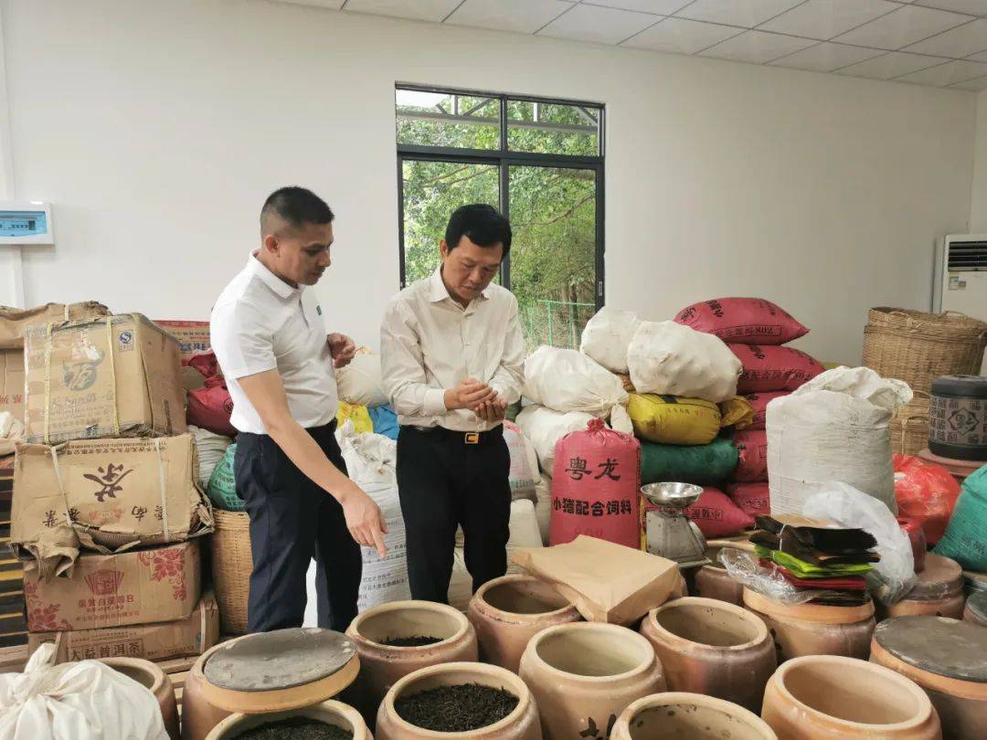 【人大要闻】余国平到清新区石潭镇调研"百千万工程"工作