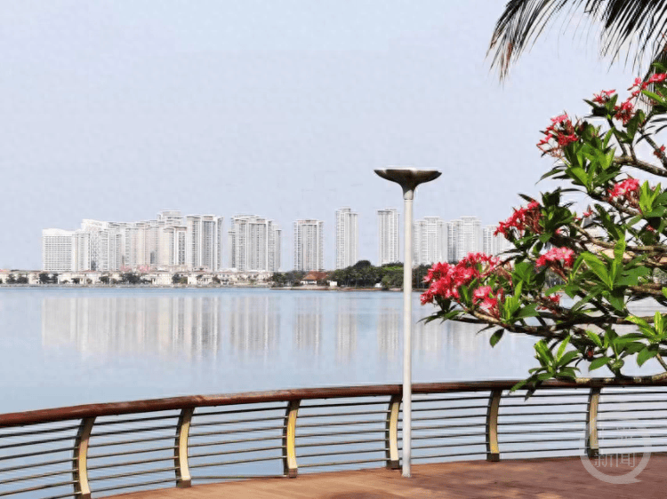 多人称住海南海花岛疑似"海砂房"险象环生,当地住建局:高度重视,全面