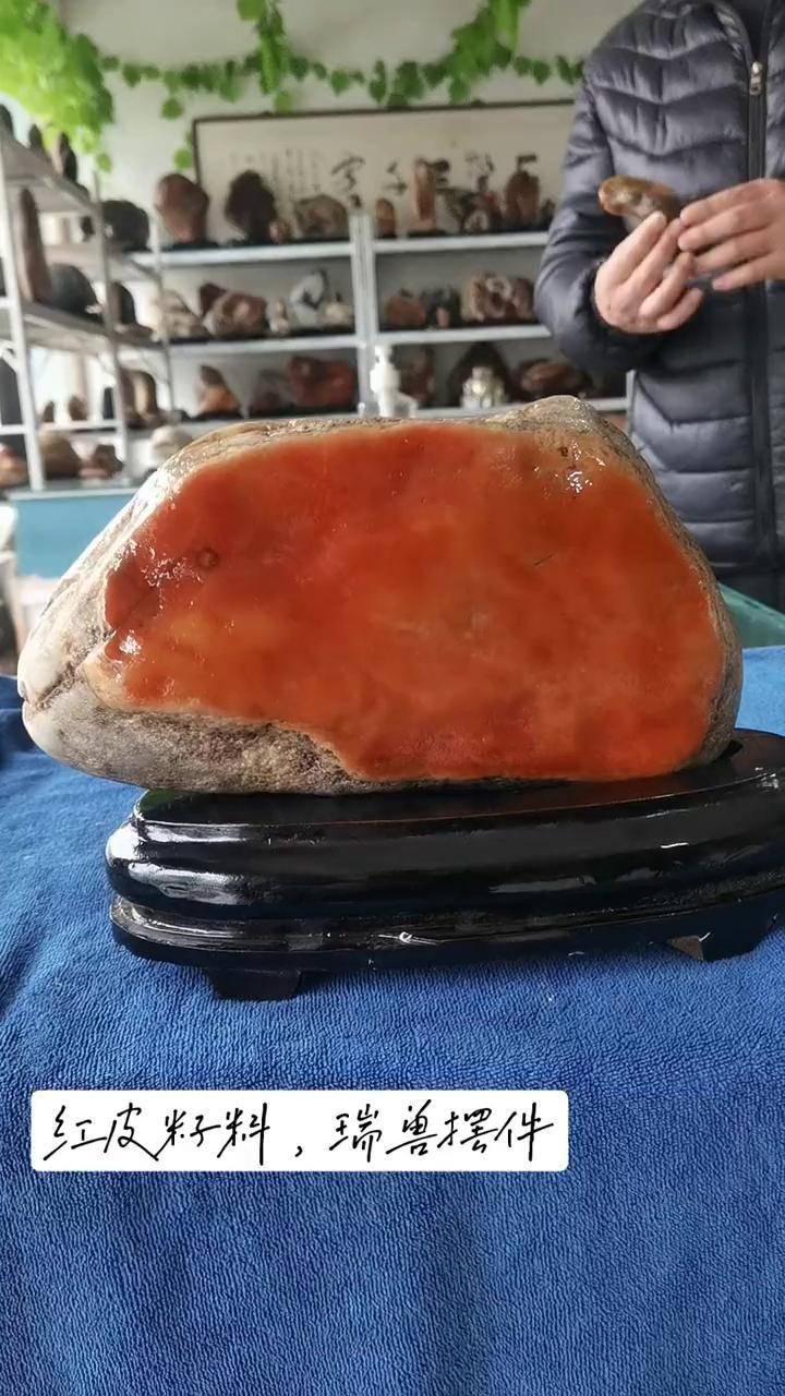 精品鉴赏,红皮籽料,瑞兽摆件纯天然奇石 高哥分享唐河彩玉精品石天然