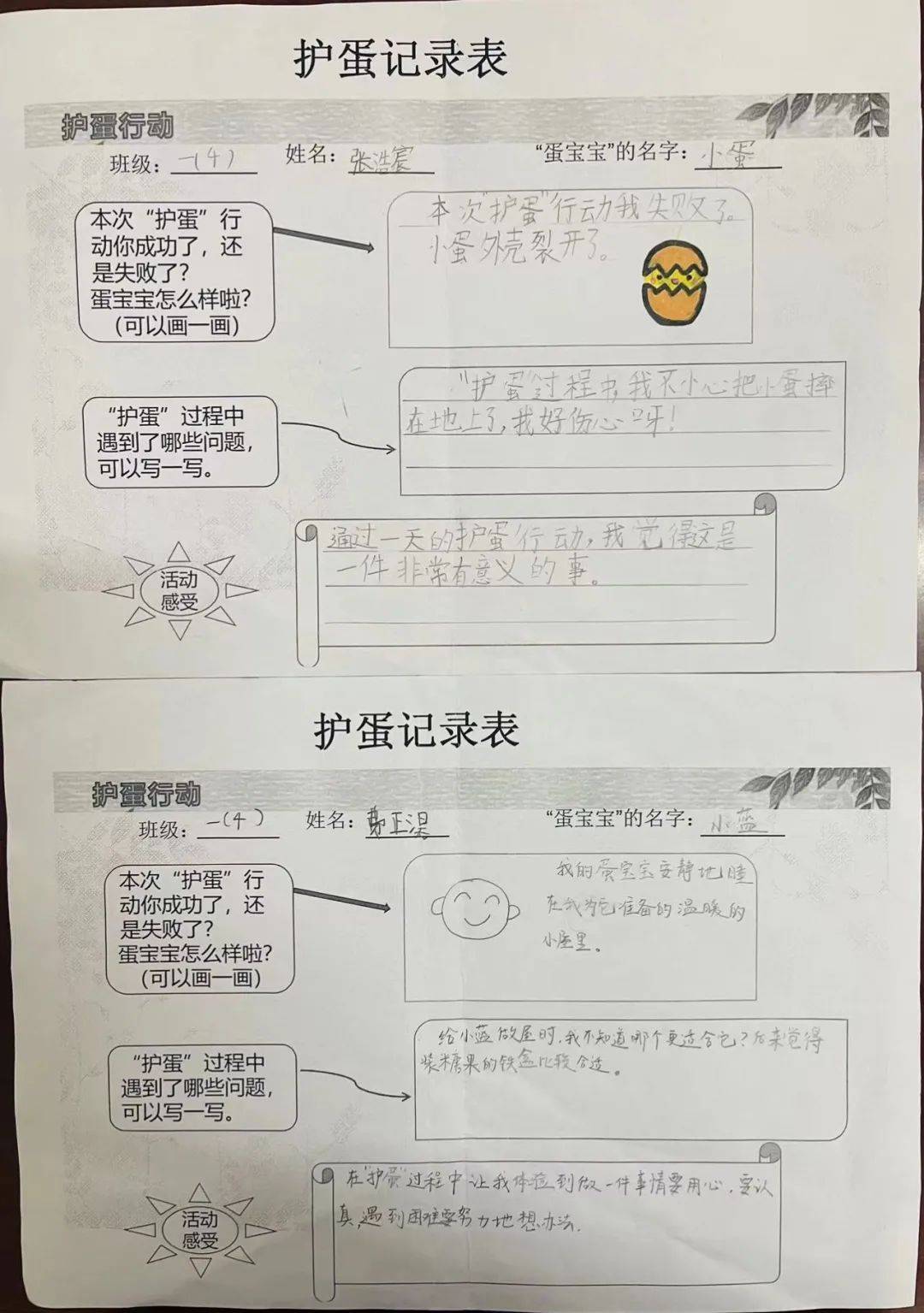 记仪征市实验小学一(4)一(5)班的护蛋行动