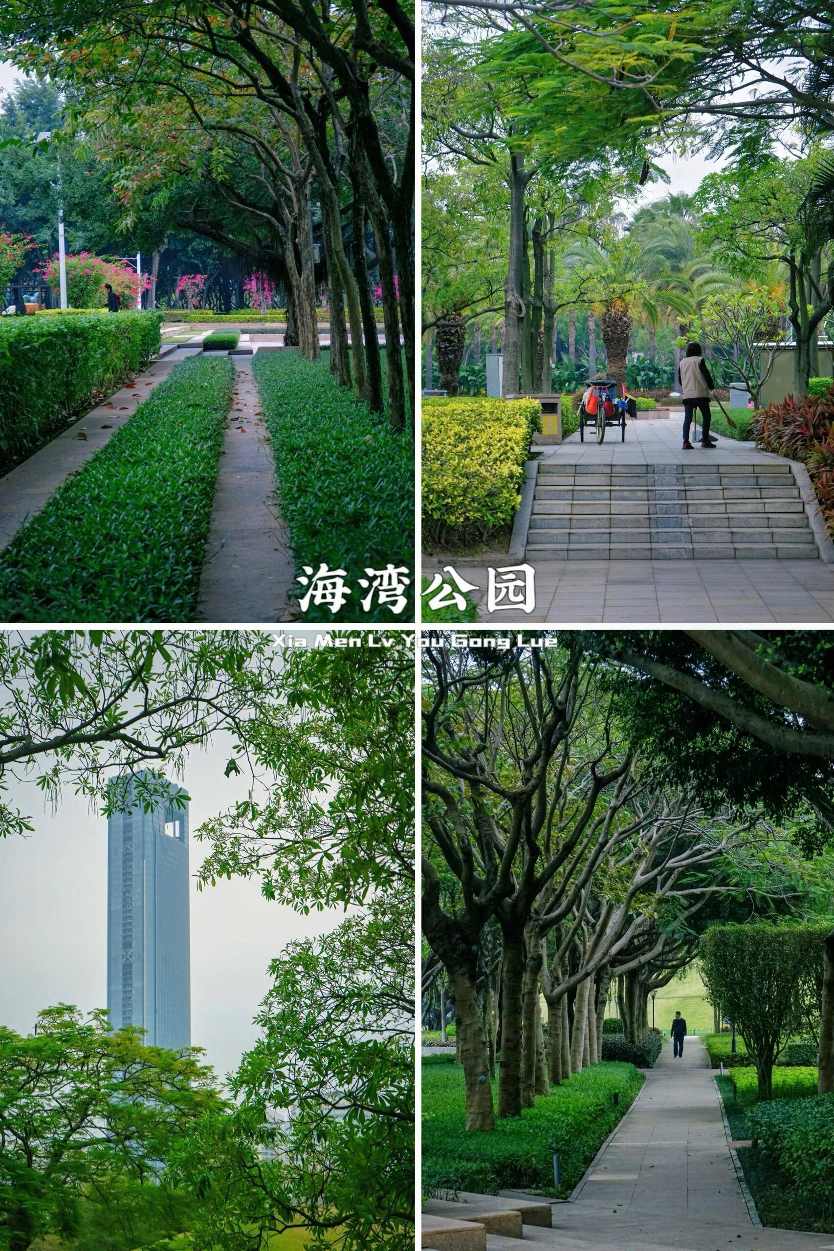 随州到厦门旅游路线,自由行攻略 ,全是干货!
