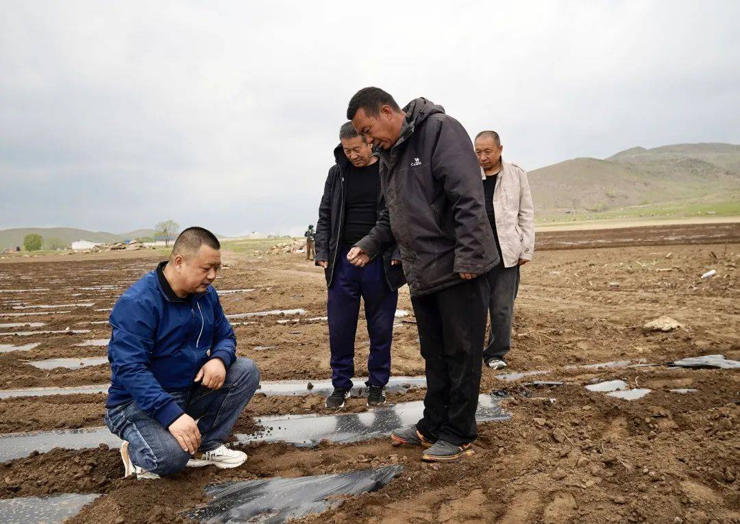 科学使用地膜 让春耕更"绿"色