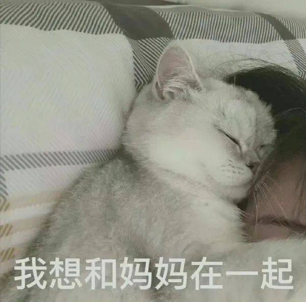 母亲节快乐表情包动图大全_妈妈