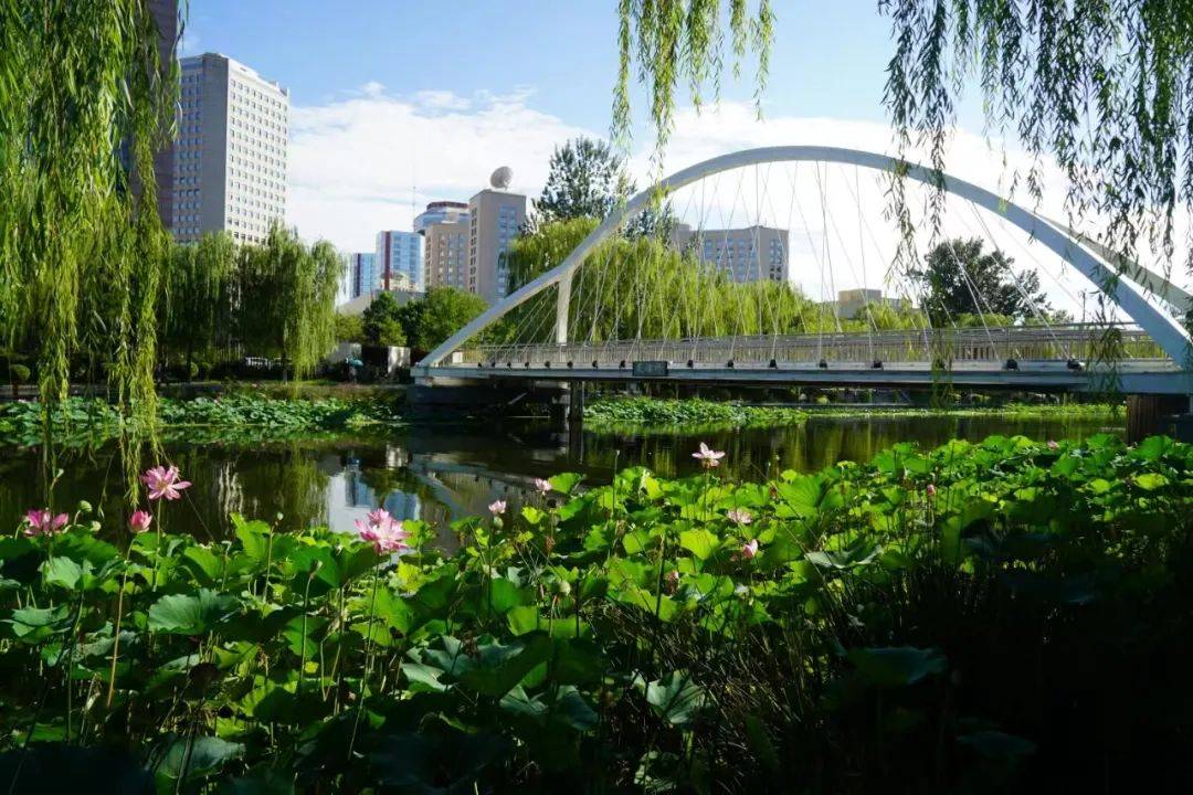 北京市首届"幸福河湖·水美家园"双料称号获得区!亮马河,顺源里为什么