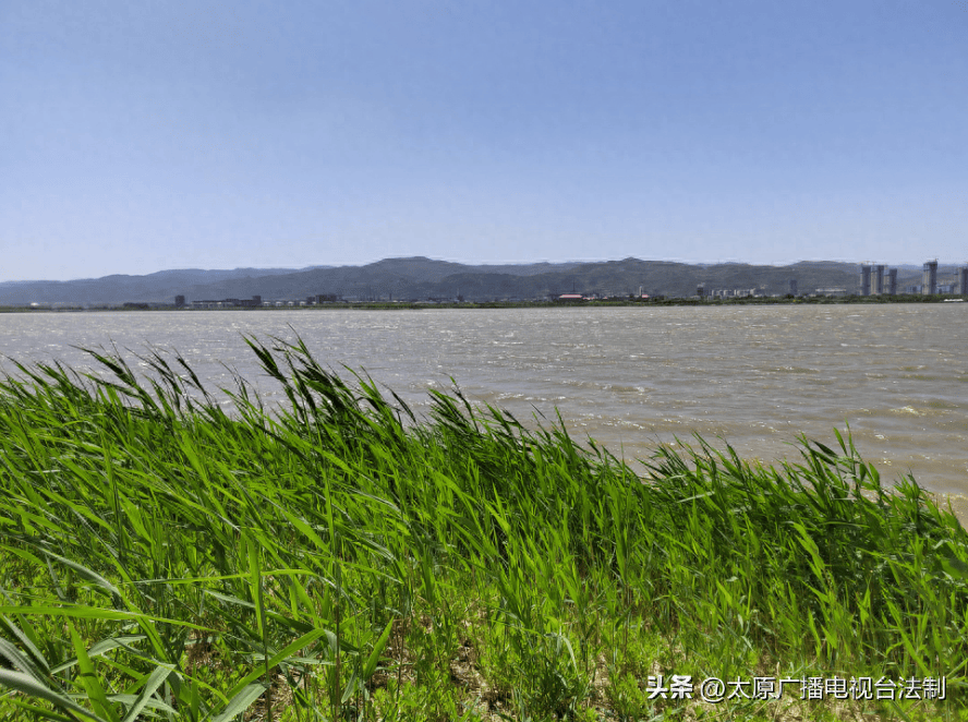 突发!晋阳湖公园内一年轻女子跳湖轻生
