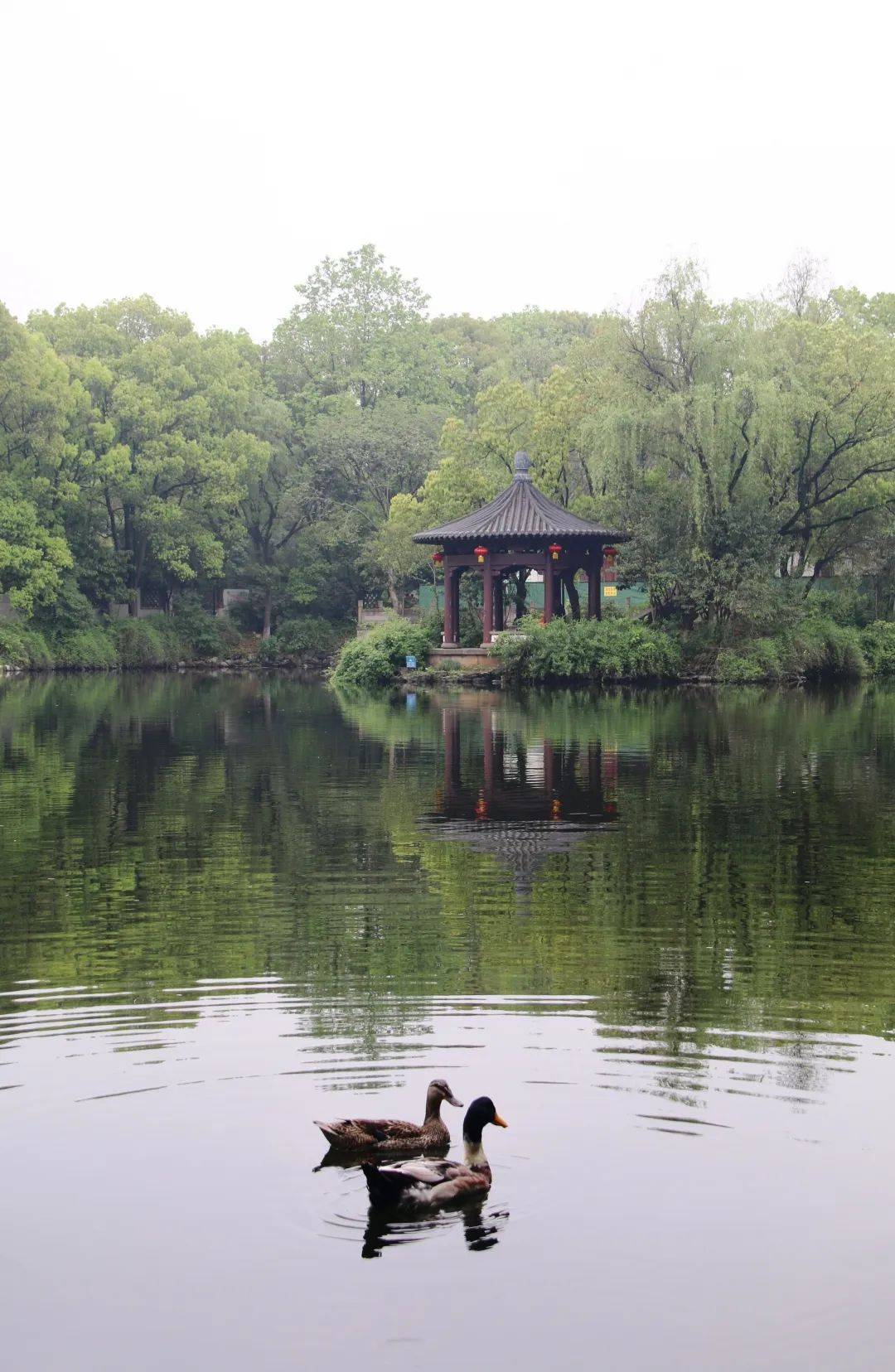 「稽山园,鉴水苑,治水广场,西园,百花苑,迎恩门,河清园,都泗门……」
