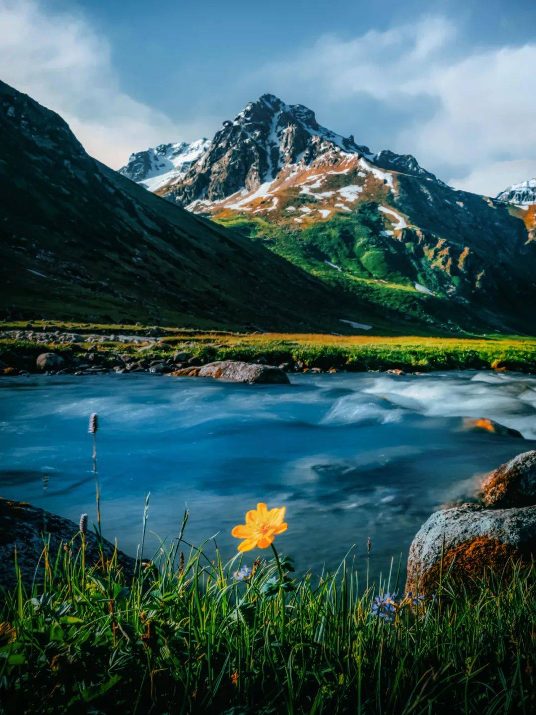 19条澄碧的溪流将孟克特的冰川融化,河畔生长着密叶杨,河柳,小叶白蜡