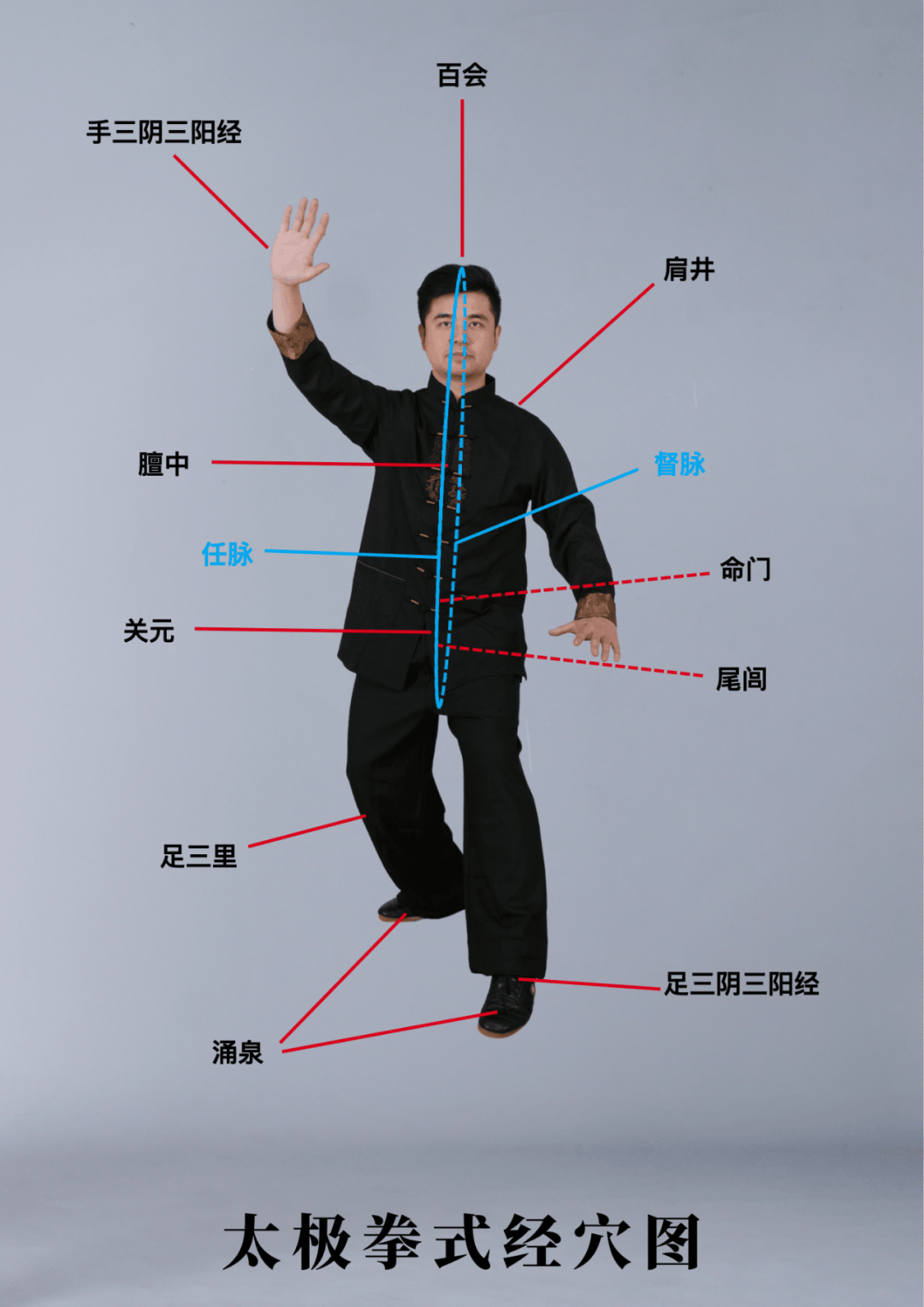 1 独特性,在总结大量传统太极拳优秀教学方法和现代化训练体系基础上