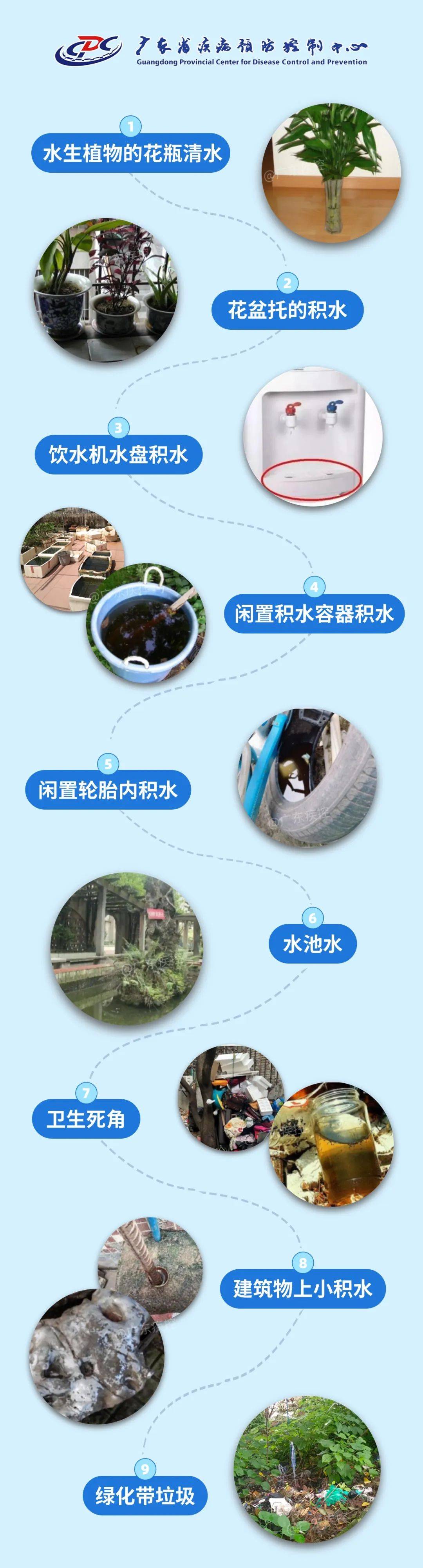 大湾区之声,羊城晚报,广州发布,广州日报,广州水上公交,茶滘街,荔湾区