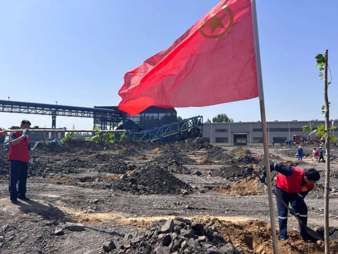 黑色土地添新绿,共绘生态新画卷|柴里煤矿开展突击队活动