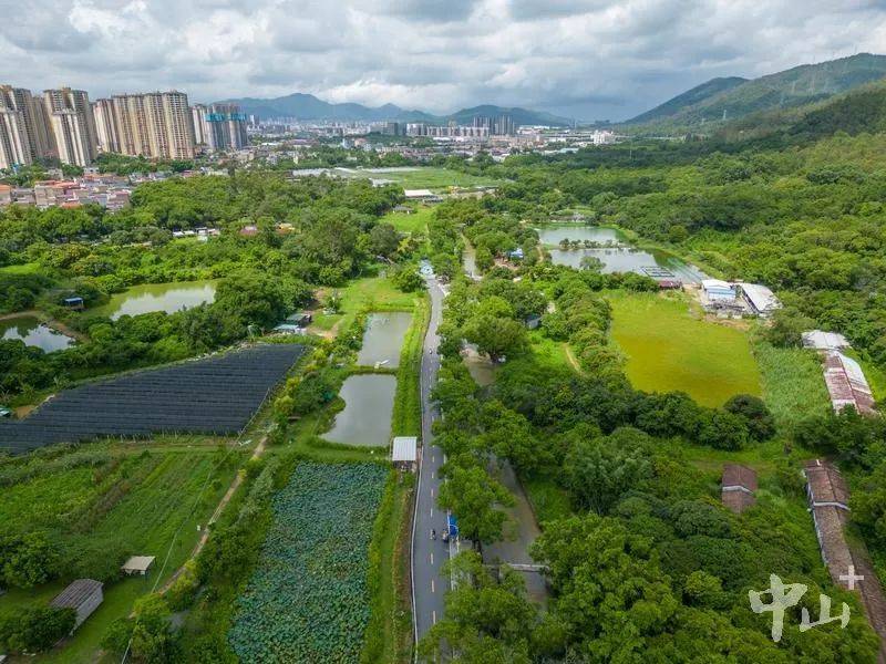 建设全国文明城市丨五桂山街道桂南村:添绿添美添文明