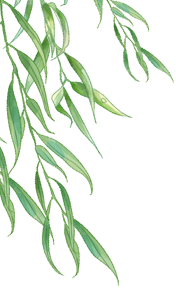 雨的四季(一)作者:刘湛秋朗读:薇 安我喜欢雨,无论什么季节的雨,我都