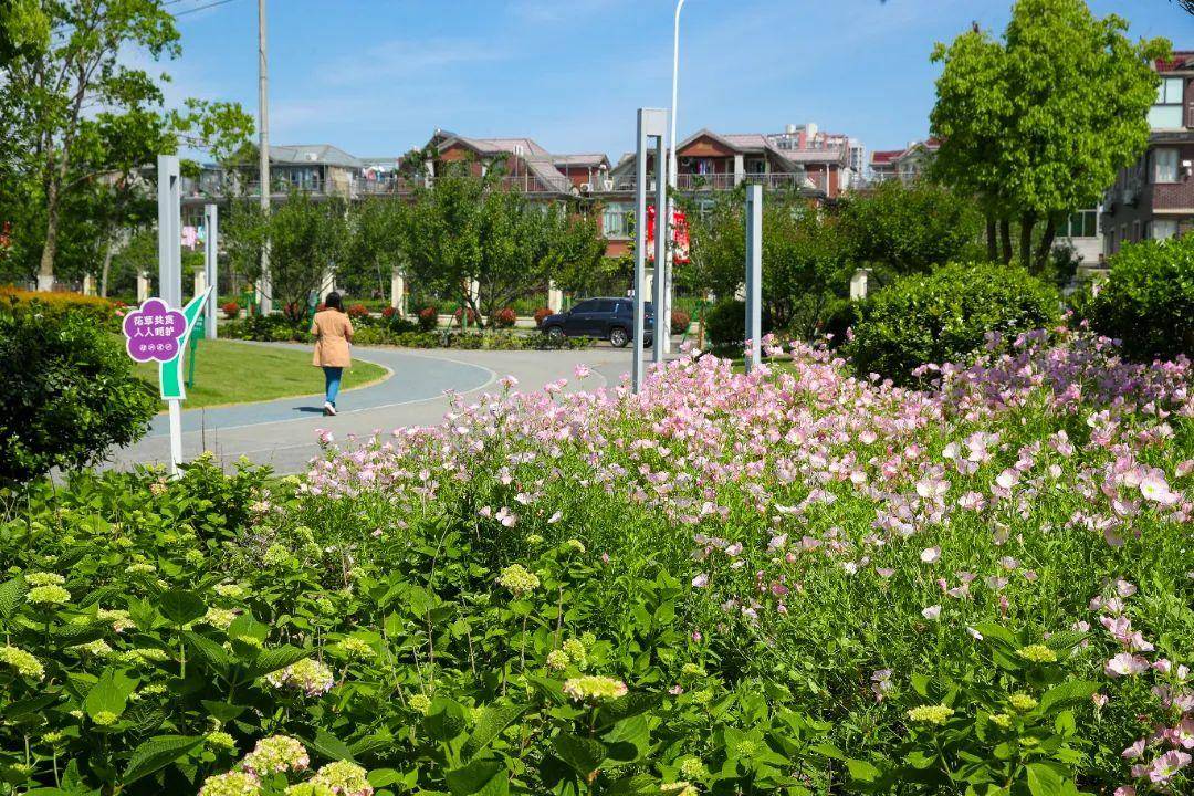 家门口逛公园丨今天我们去九里亭街心花园