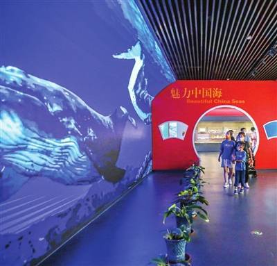 国家海洋博物馆:"馆校共建"带来研学"流量"