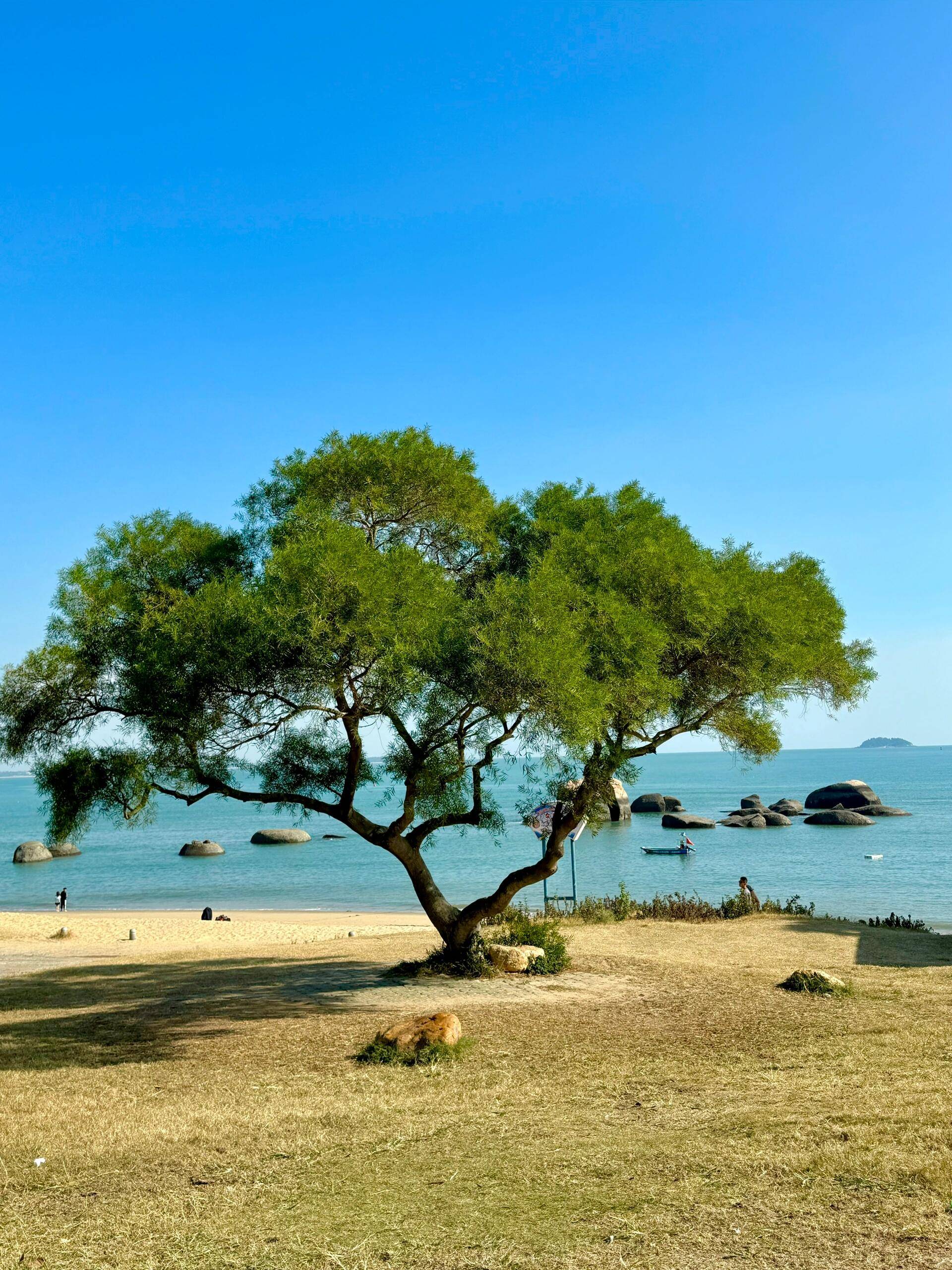 余姚至厦门旅游攻略,需要多少钱 ,这篇千元超详细攻略在手,玩遍景点不