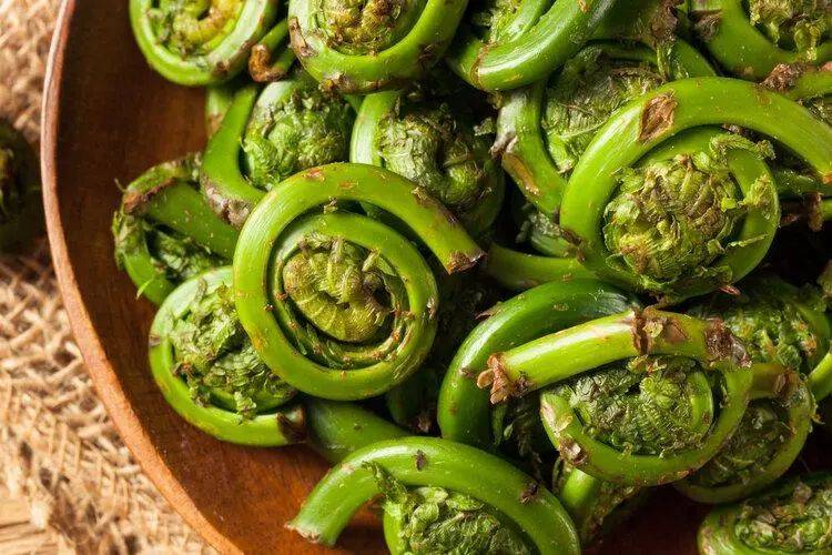 这4种野菜若不慎食用,小心中毒!