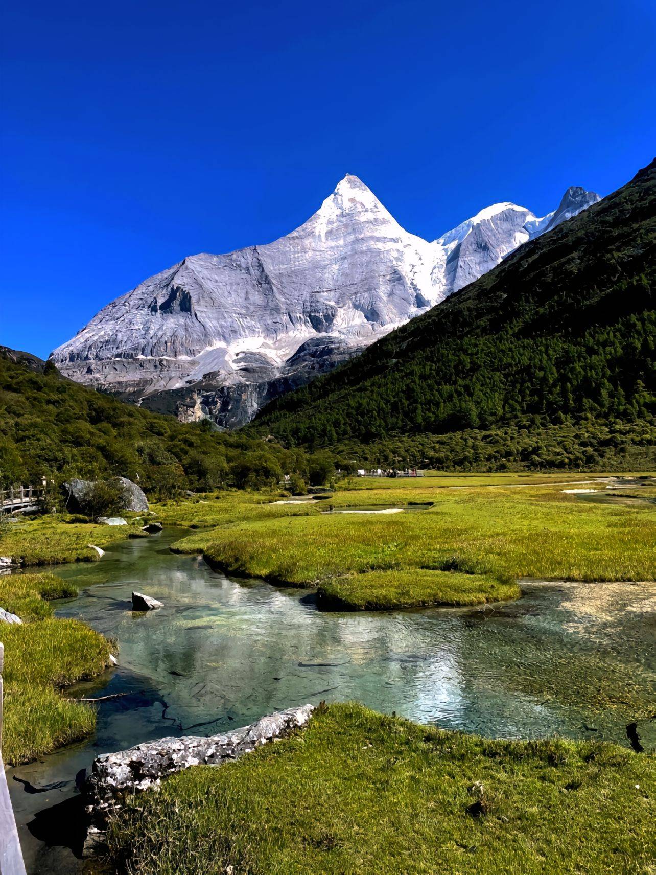 佛山到四川旅游团价格,费用多少 ,必懂的旅游要点