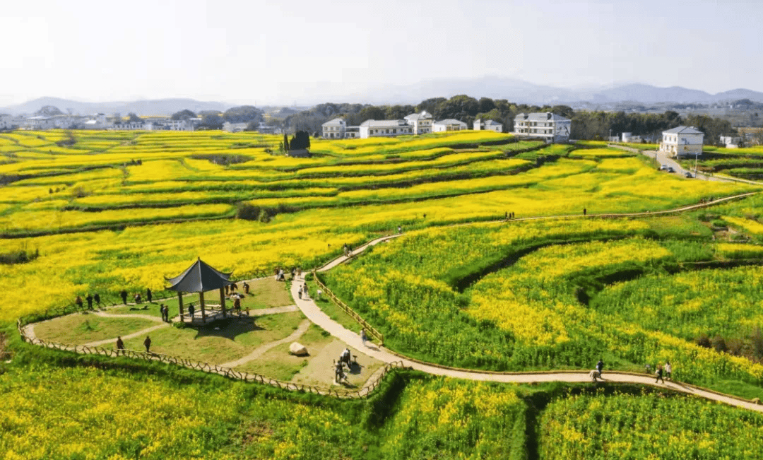 如何识别"真假"田园综合体?