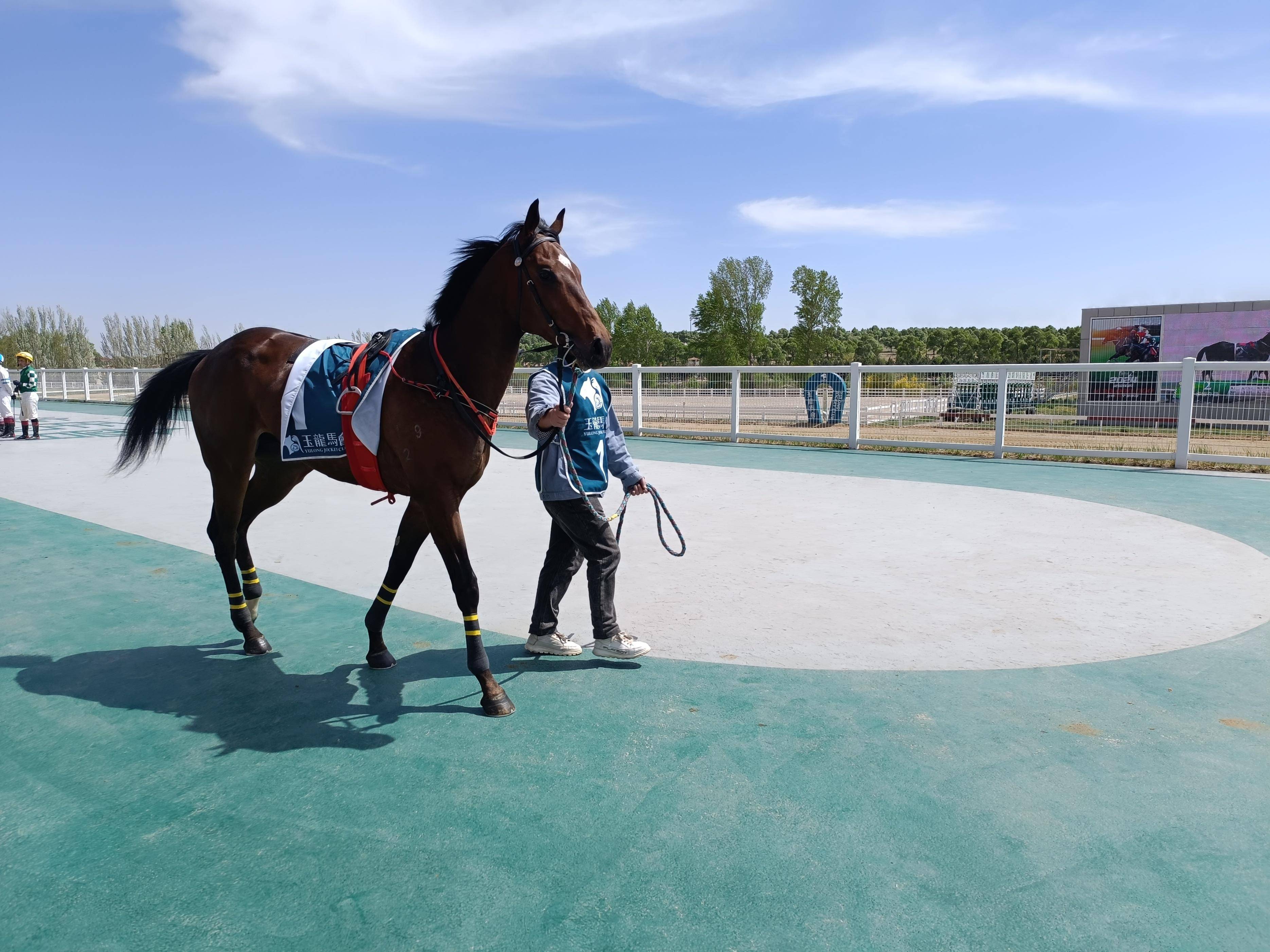 它即将出战的是第二场国产两岁纯血马首秀赛b组1000米,练马师王玉杰