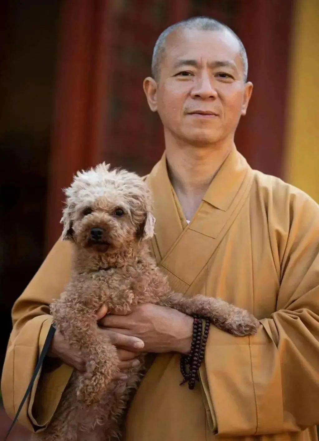 距离市中心,车程约50公里的奉贤区青村镇,有一座距今已有500多年历史