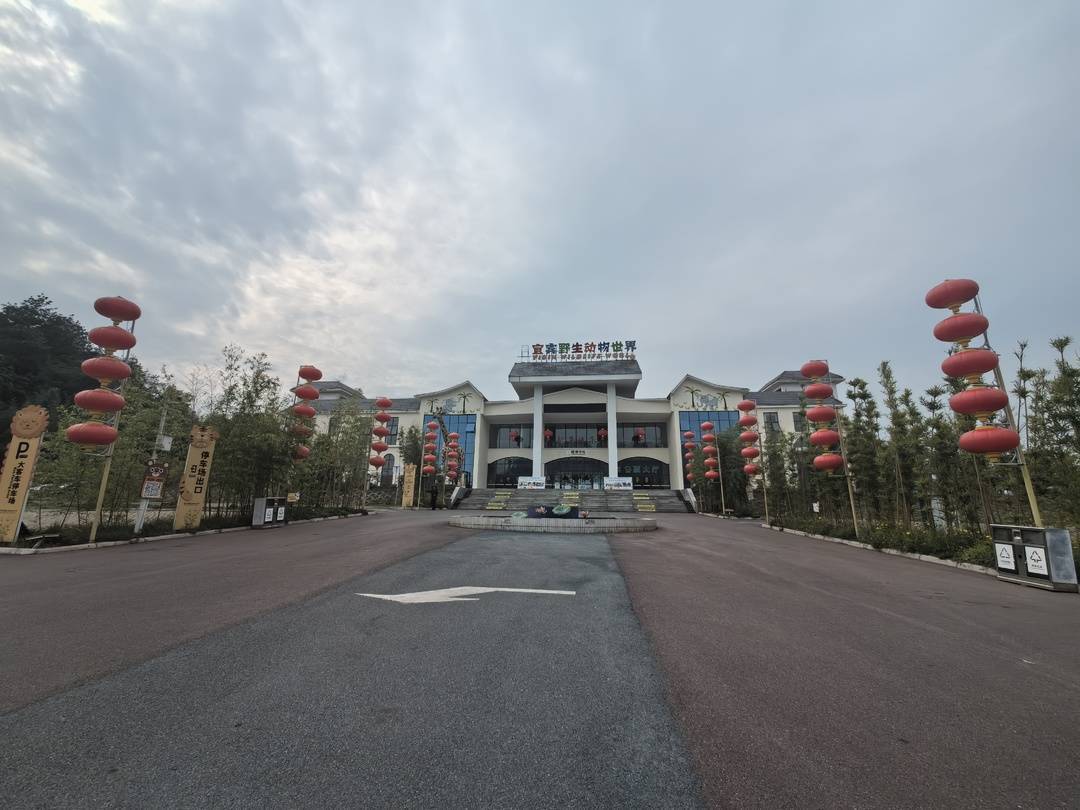 四川宜宾动物园给幼虎戴布罩与游客合影?