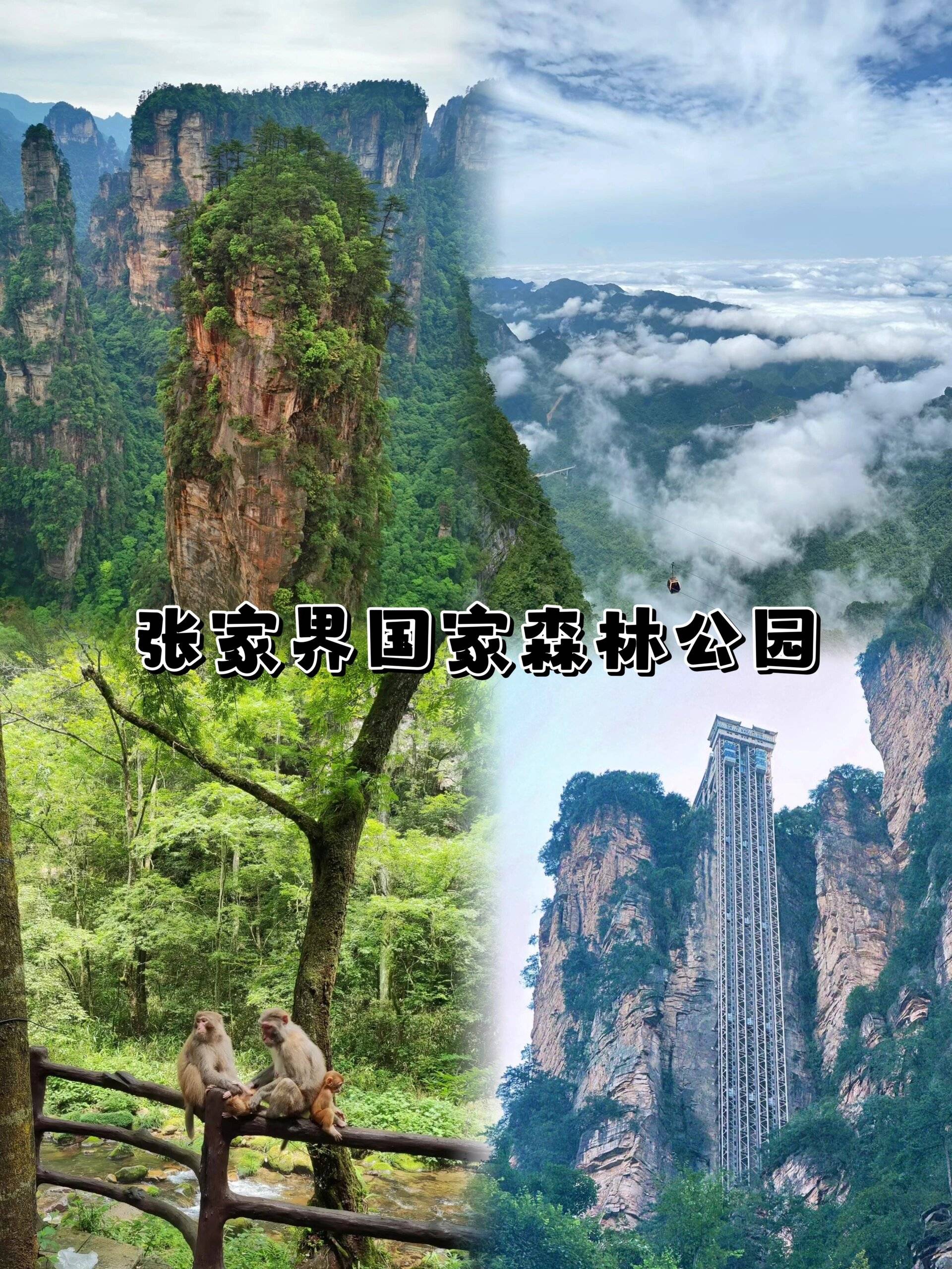小白必看_费用_湖南省_旅行社