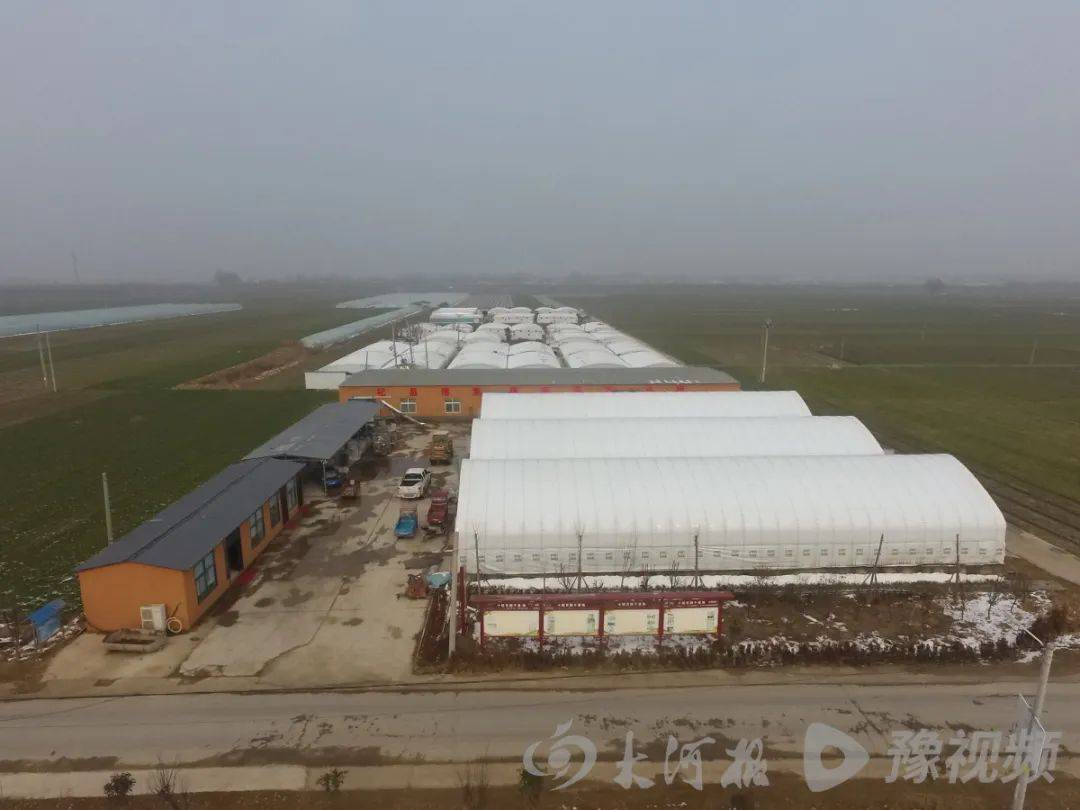 开封市:花生米,大蒜,西瓜,羊肚菌,杞县"一村一品"做活了家门口的大