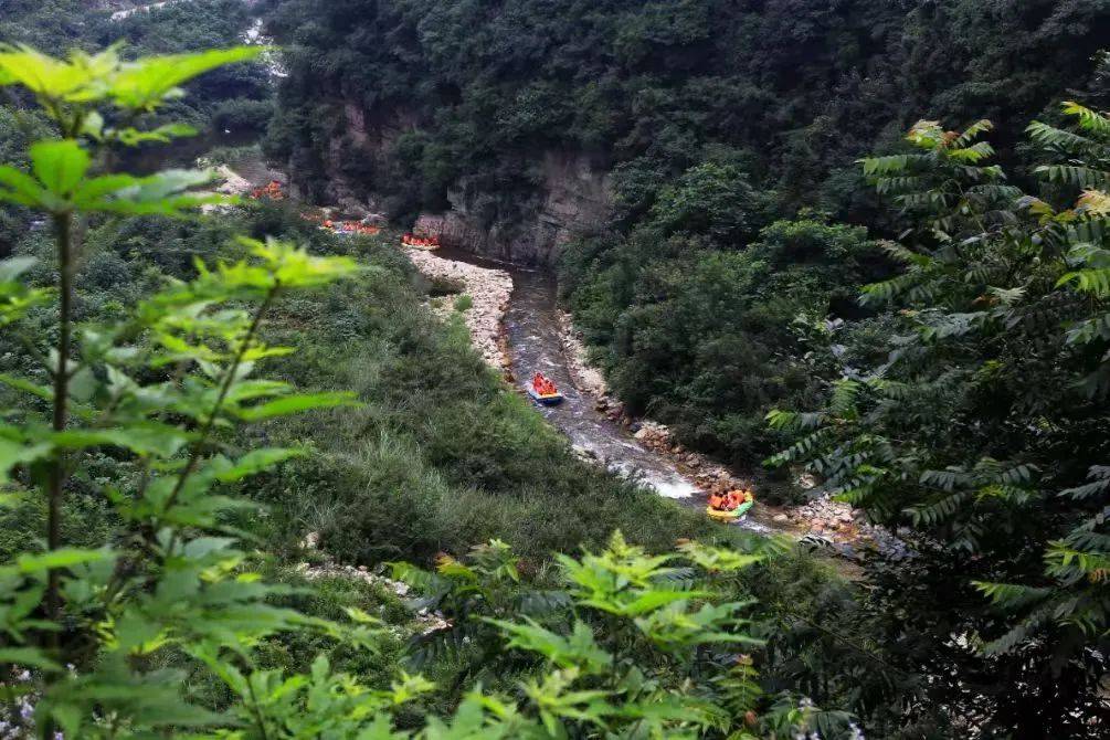 免票,半价……丹江口市多家景区喊你来旅游!