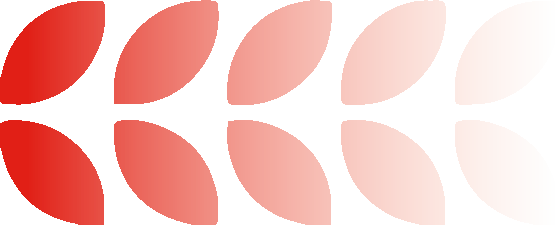 px084基于物化能力素养提升的教学策略研究与培训活动在嘉善高级中学