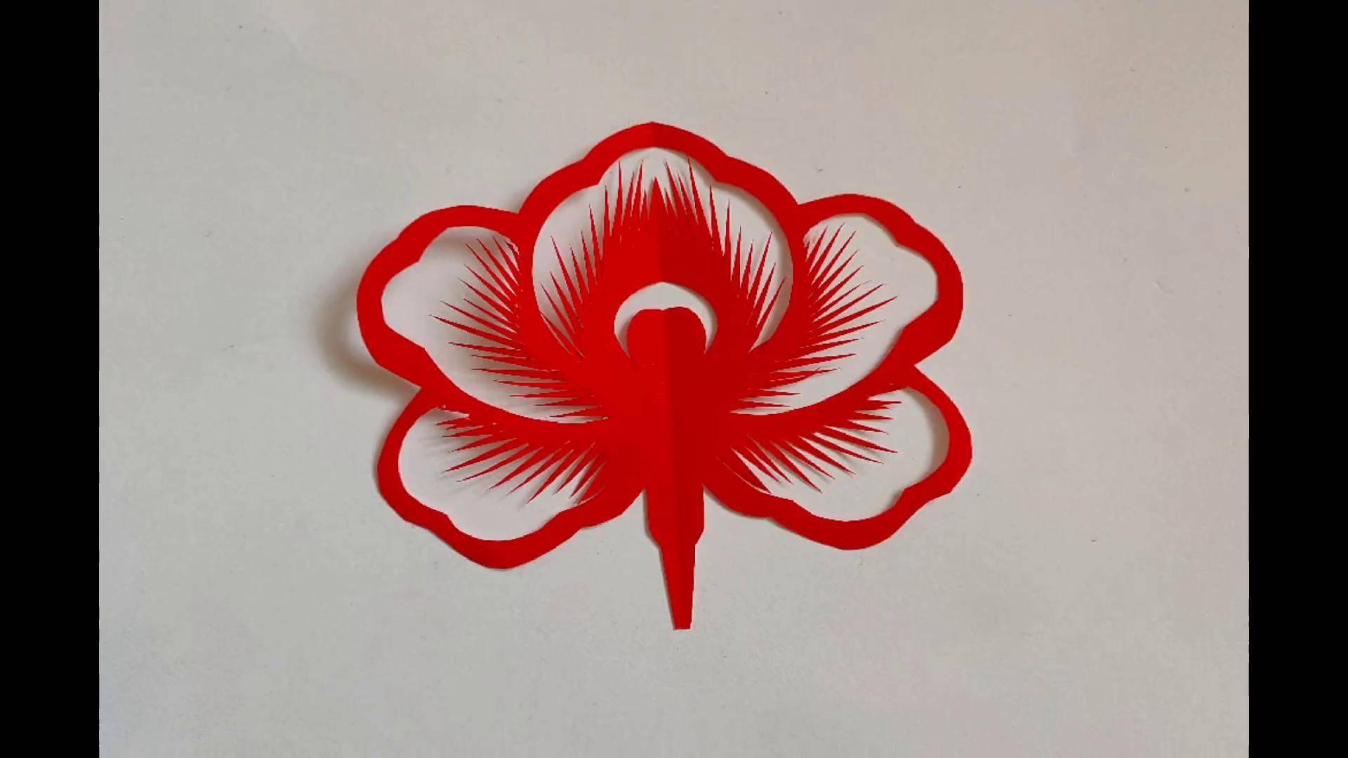 对折剪牡丹花,春之花,简单易学,一张红纸一把剪刀就行剪纸
