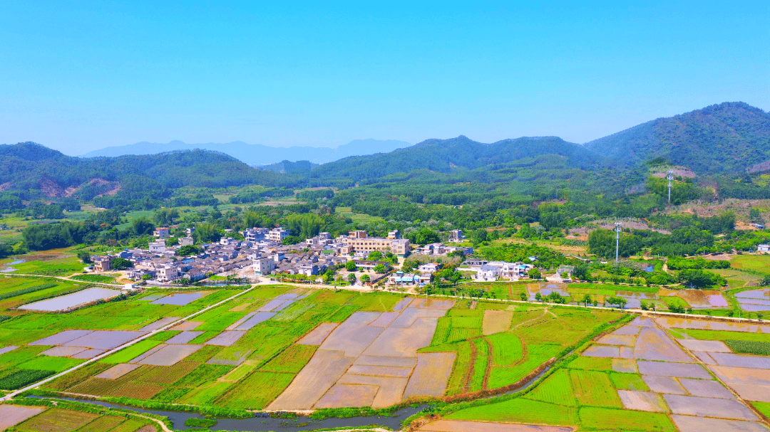 【乡村振兴】看!惠东吉隆镇各村大变样