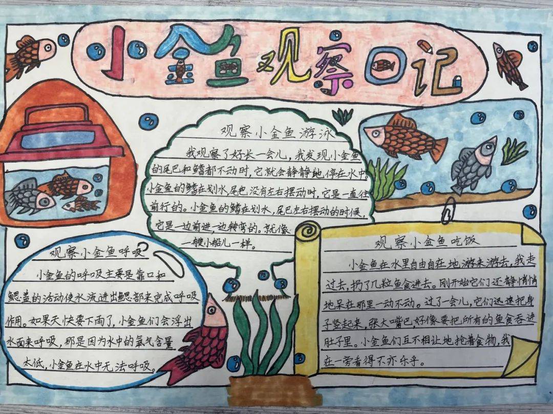 校园风采(85)丨大成小学:异彩纷呈展作业 见贤思齐共成长_数学_的力量